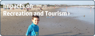 Impacts on Recreation and Tourism