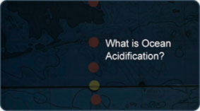 NOAA Climate.gov - The Origin and Impacts of Ocean Acidification
