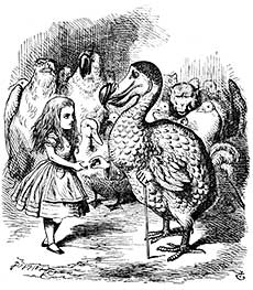Alice Meeting the Dodo