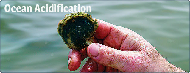 Ocean Acidification