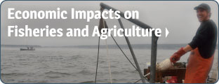 Economic Impacts on Fisheries and Agriculture