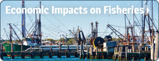 Economic Impacts on Fisheries