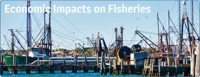 Fisheries Impacts