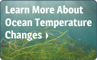 More About Ocean Temperature Changes