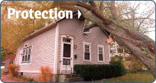  What You Can Do: Protection